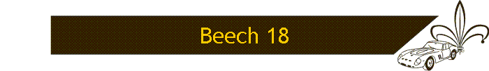 Beech 18