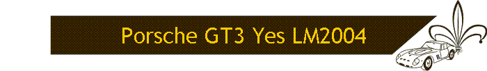 Porsche GT3 Yes LM2004